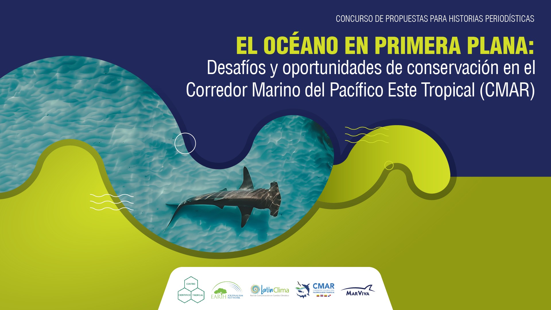 concurso historias
