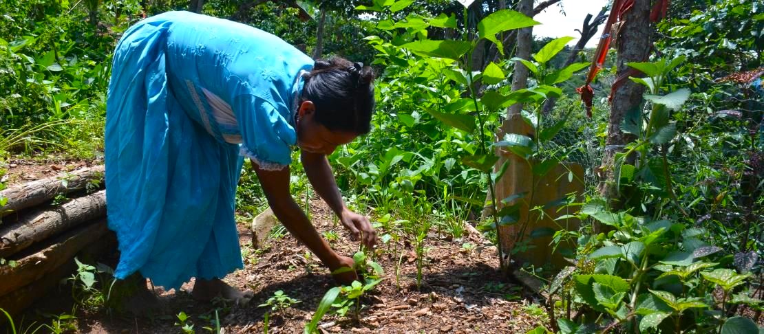 Agricultura Sostenible Adaptada al Clima (ASAC) con perspectiva de género.