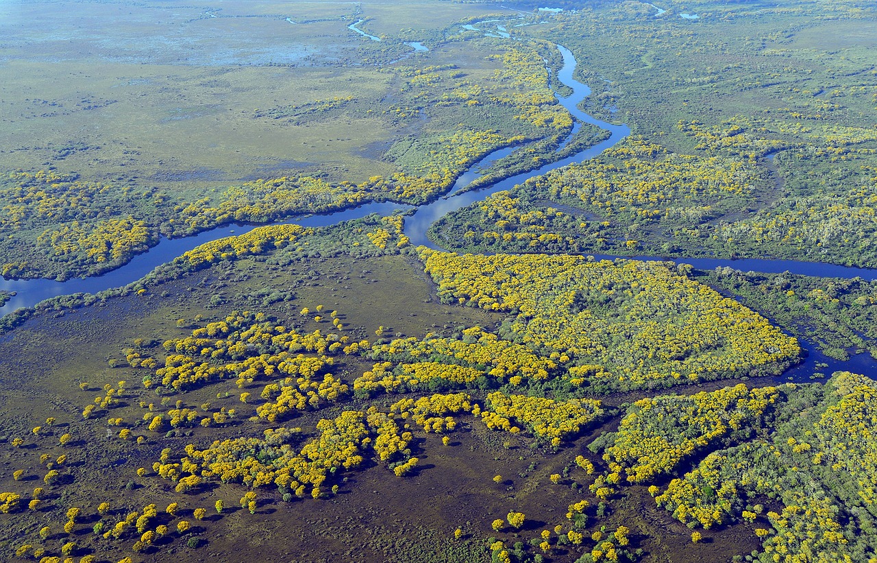 Pantanal en Brasil