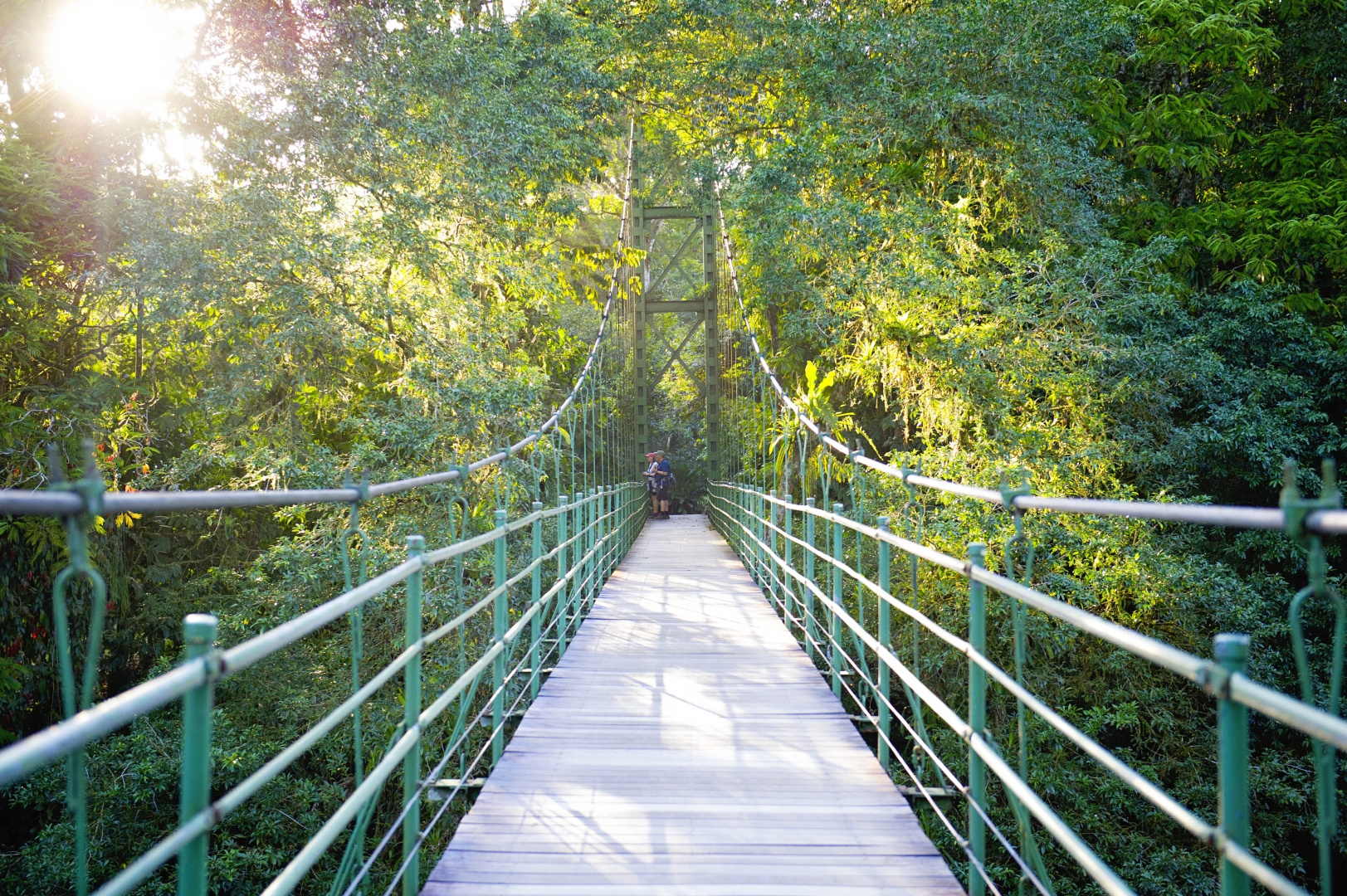 La Estación Biológica La Selva, en Sarapiquí de Costa Rica, reguarda 1.600 hectáreas de bosque tropical húmedo que sirven de área de amortiguamiento al Parque Nacional Braulio Carrillo y es parte del corredor biológico San Juan - La Selva que se extiende hasta Nicaragua.