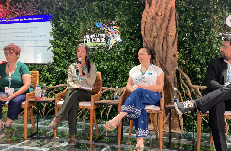 Tras la presentación que hizo Costa Rica en la COP16 de sus avances en la conservación de ecosistemas, varias comunidades indígenas y locales se mostraron escépticas, y difieren de las miradas gubernamentales