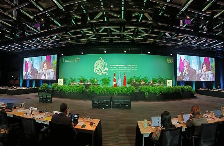 Conferencia de Gobiernos Locales y Regionales, celebrada con motivo de la Conferencia de las Naciones Unidas sobre Biodiversidad COP15, en Montreal. Wikimedia Commons