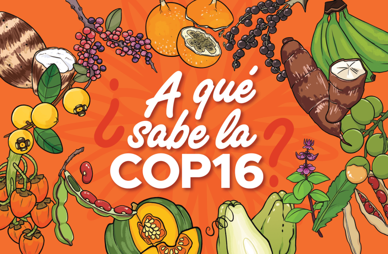 Banner A qué sabe la COP16