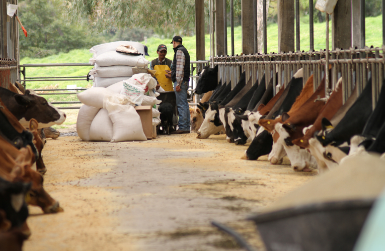 La experiencia en intensificación sostenible de la Hacienda Retes, ubicada en Llano Grande de Cartago, Costa Rica, es uno de los casos exitosos que se recopila y comparte en la producción audiovisual.