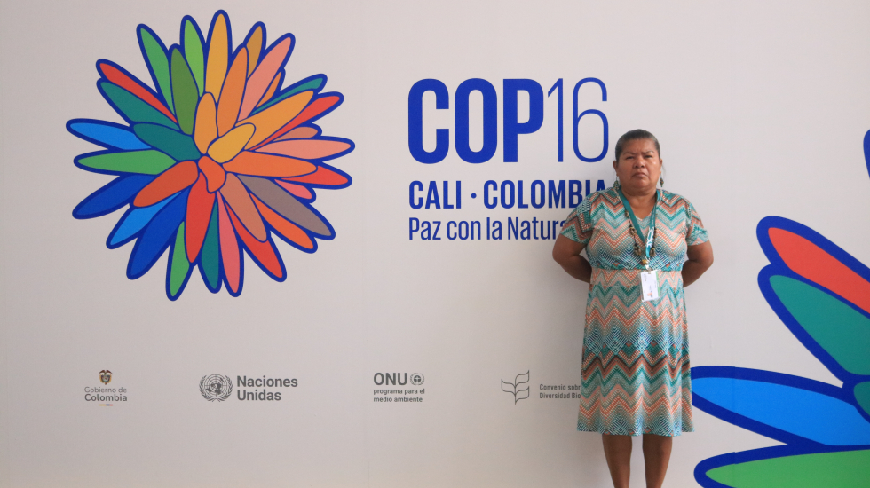 COP16