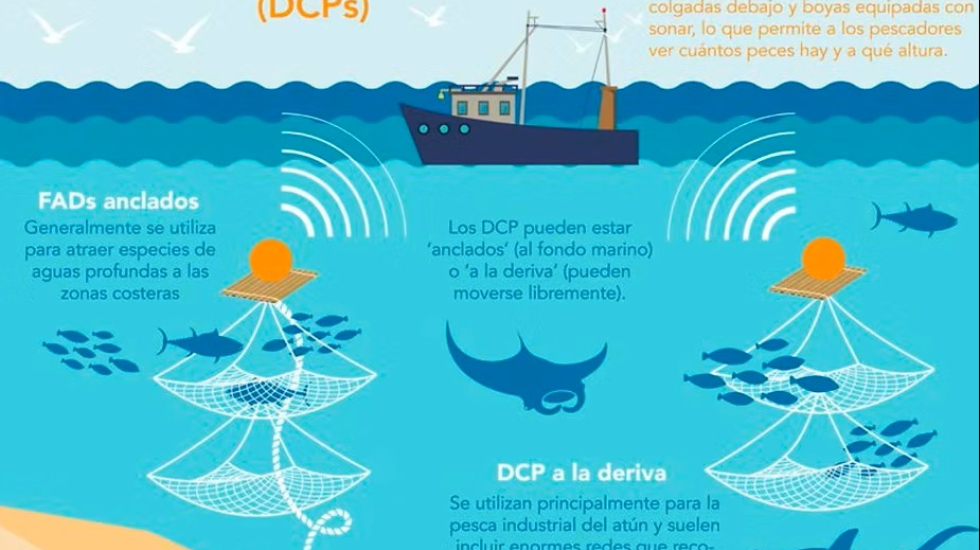  Infografía de los plantados tomada de Galapagos Conservation Trus (GCT).