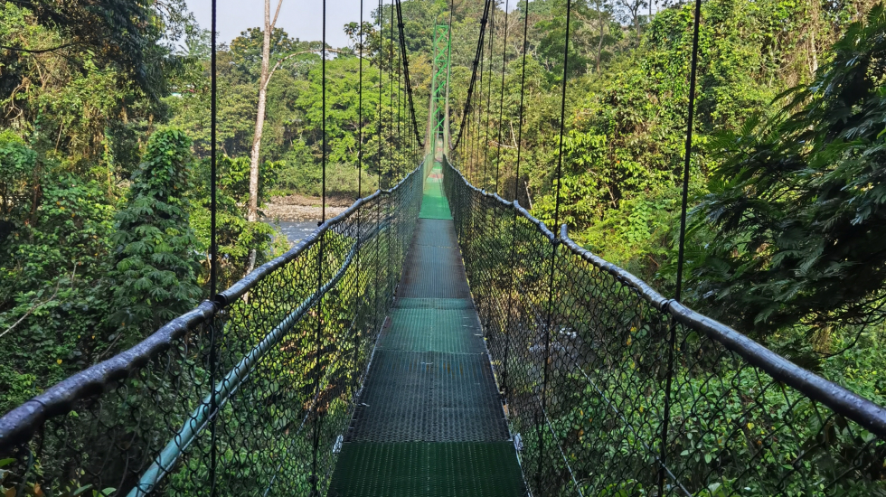 Puente colgante