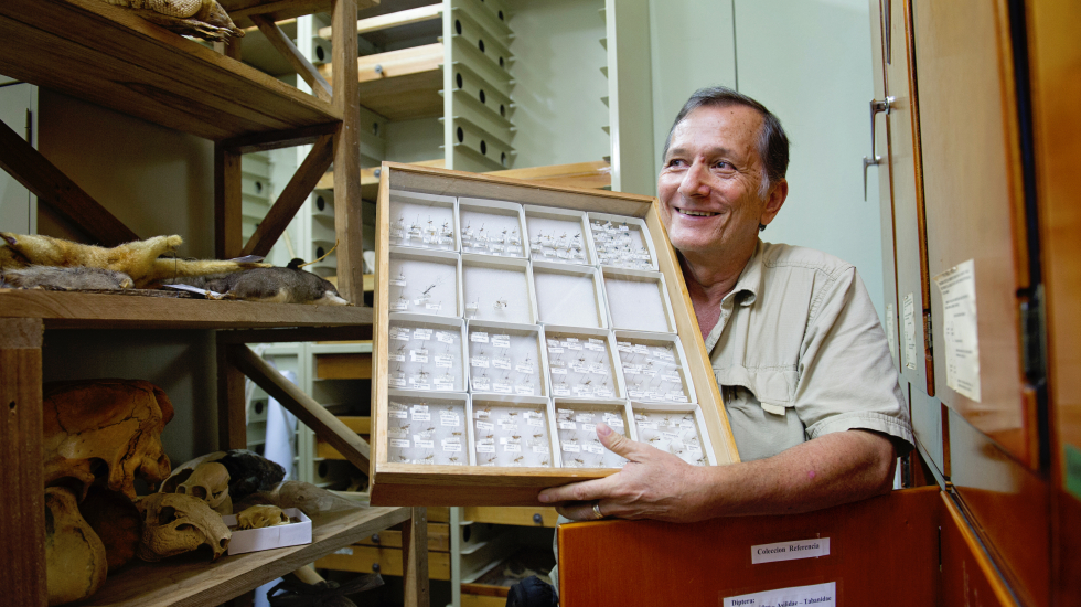 Carlos de la Rosa, director de la Estación Biológica la Selva, muestra el insecto bautizado en su honor. Nina Cordero / Grupo Nación