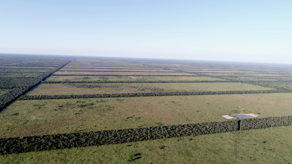 Predios deforestados para la ganadería en el Parque Defensores del Chaco en Paraguay. Foto: Aldo Benítez.