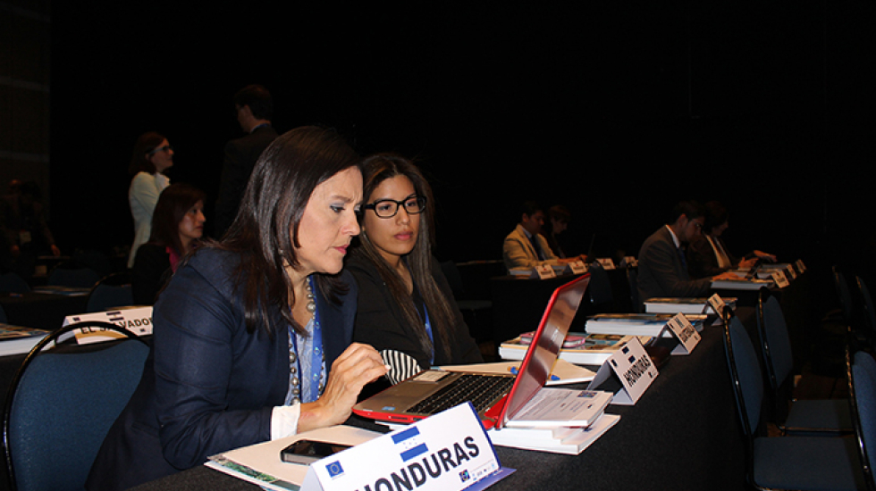 Participantes del V Seminario Euroclima "La ciencia y la política unidas frente al cambio climático"