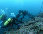 Recuperación de un plantado en Cabo Marshall al norte de la isla Isabela. Fotos: Parque Nacional Galápagos.
