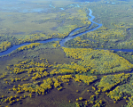 Pantanal en Brasil